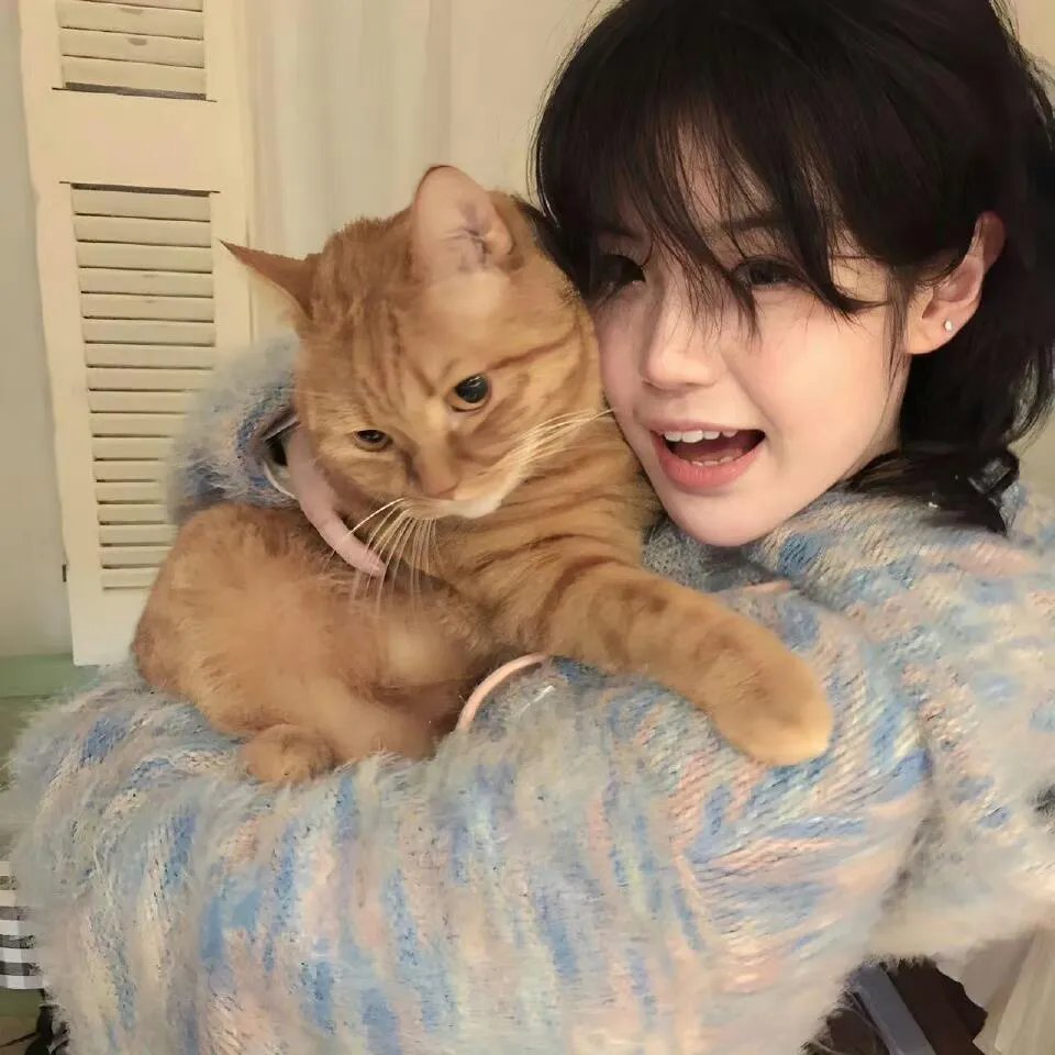 梧桐深院锁清秋